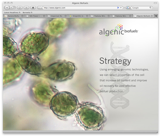 Algenic Biofuels Strategy