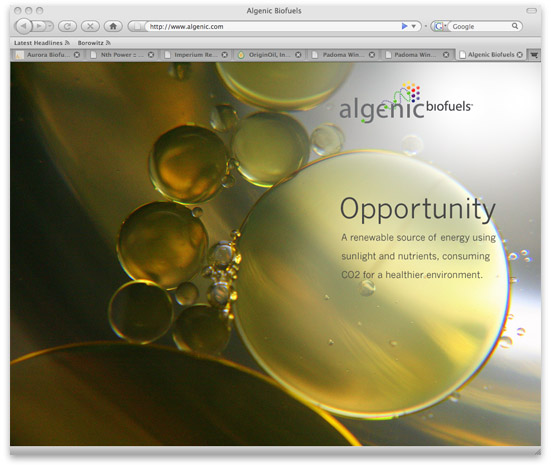 Algenic Biofuels Opportunity